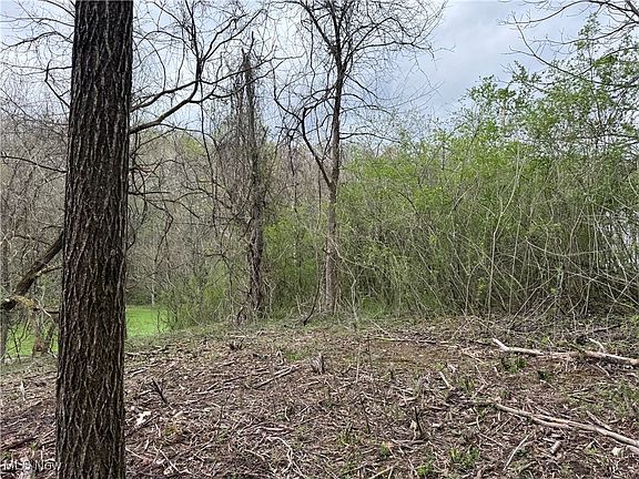 4th image of 3960 N Wedgewood Dr