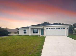 73 Guava Pass Ter, Ocklawaha, FL 32179