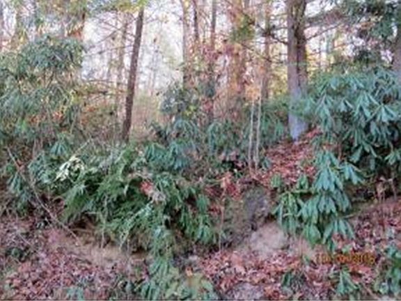 3rd image of 00 Woodland Ter