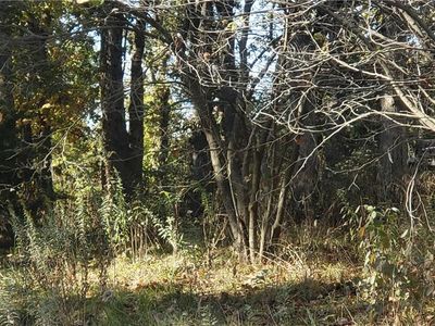 Lakeshore Dr, Odessa, MO, 64076