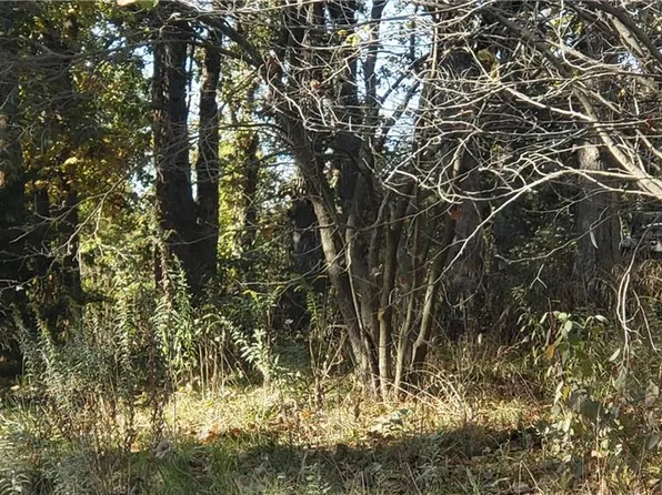 Lakeshore Dr, Odessa, MO 64076