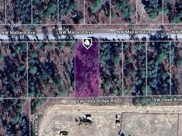 LOT 27 NW Mallard Ave #27, Dunnellon, FL 34431
