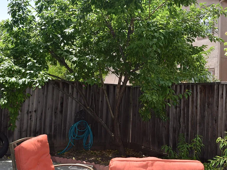 2791 Rubino Cir — Photo 16