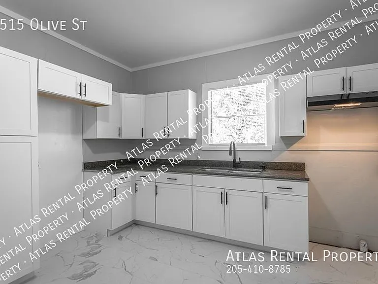 2515 Olive St — Photo 19