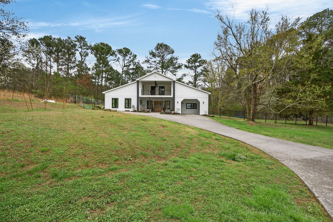 mppmedia198timmsloop01