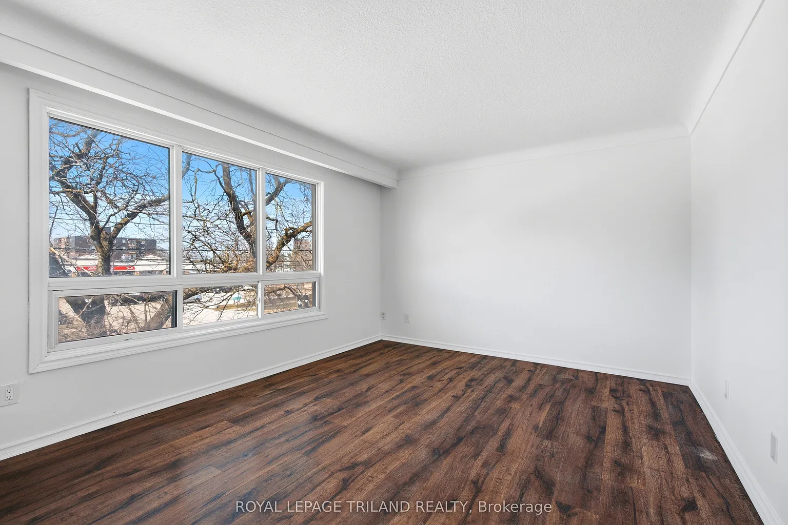 66 Willow Rd #6 photo 1