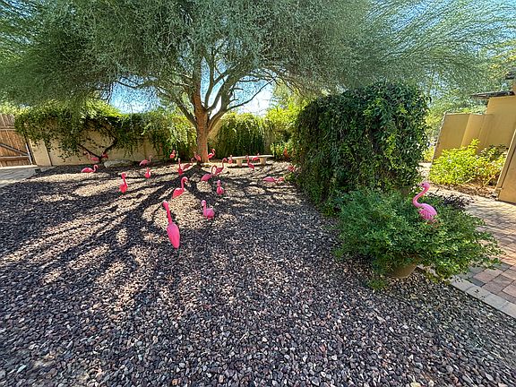 Back yard, flamingos can leave premise