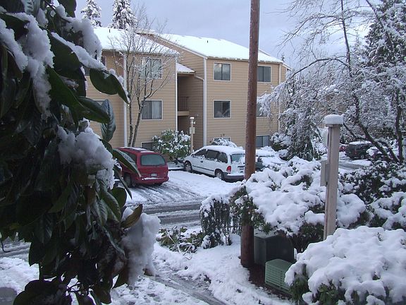 View from 2nd bedroom