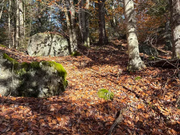 Lot 77-7 East Washington Road, Washington, NH 03280