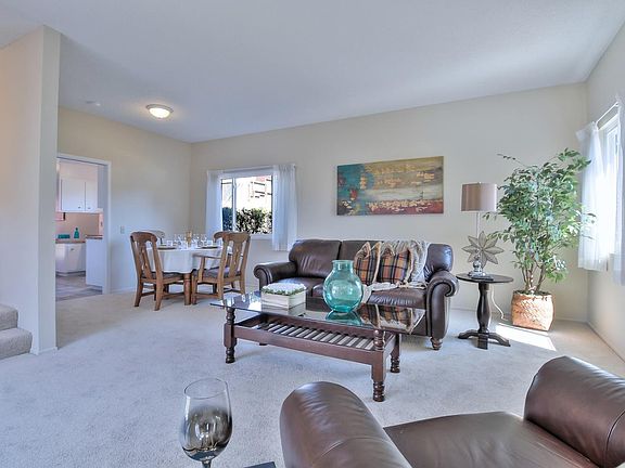 5th image of 2575 Shannon Dr