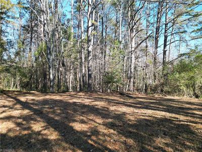 0 Friendship Circle Rd, East Bend, NC, 27018