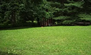 yard + shed