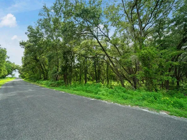 SE 150th Avenue Rd, Weirsdale, FL 32195