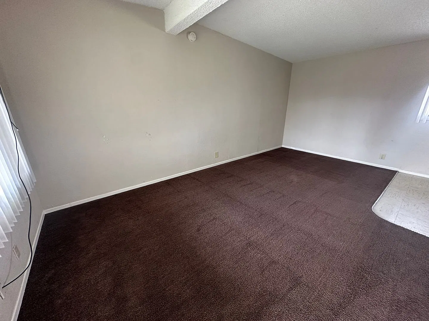 4 Bed/2 Bath Available Now! — Photo 2