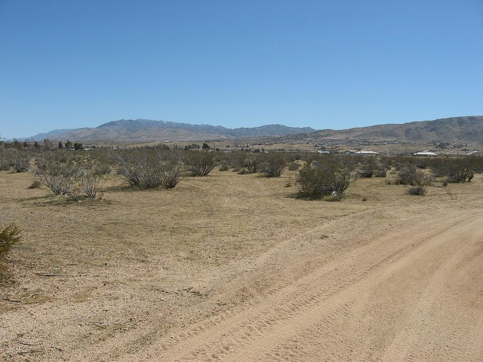 1st image of Buena Vista St