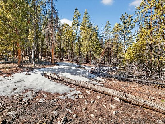 5th image of 312 Mt Massive Road