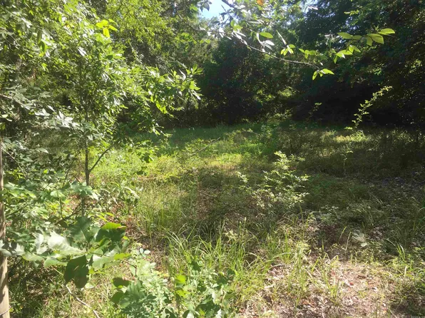 Weeping Willow Ln, Mena, AR 71953