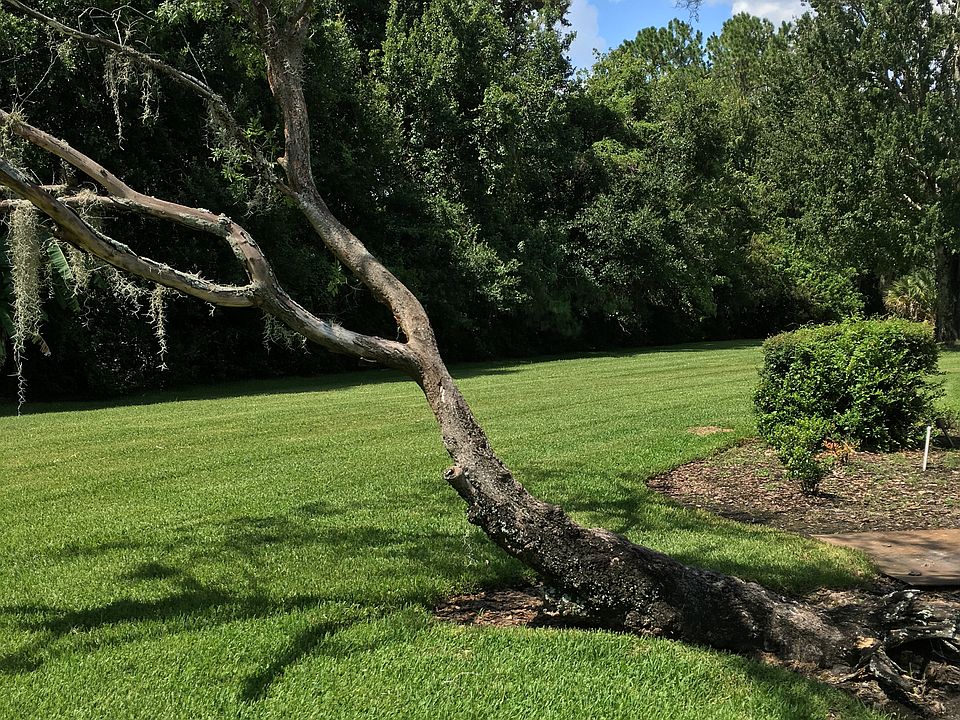 2nd image of 16010 Amberly Dr