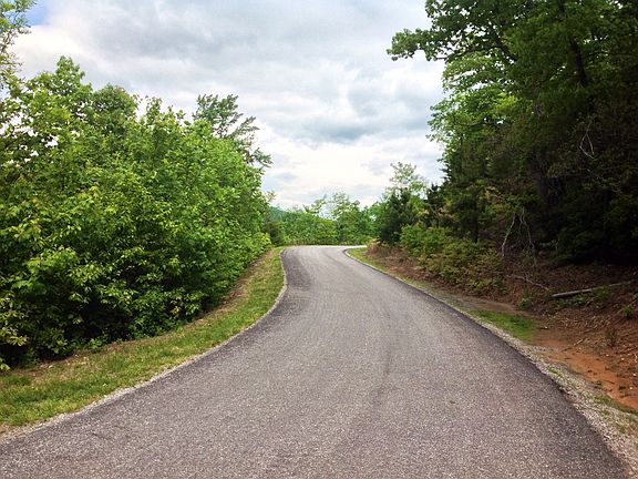 Driving Down Blue Mist