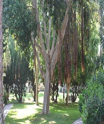 Tennis Club ground a few steps from the townhouse