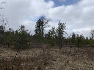 2655 Cambay Trl, Grayling, MI 49738