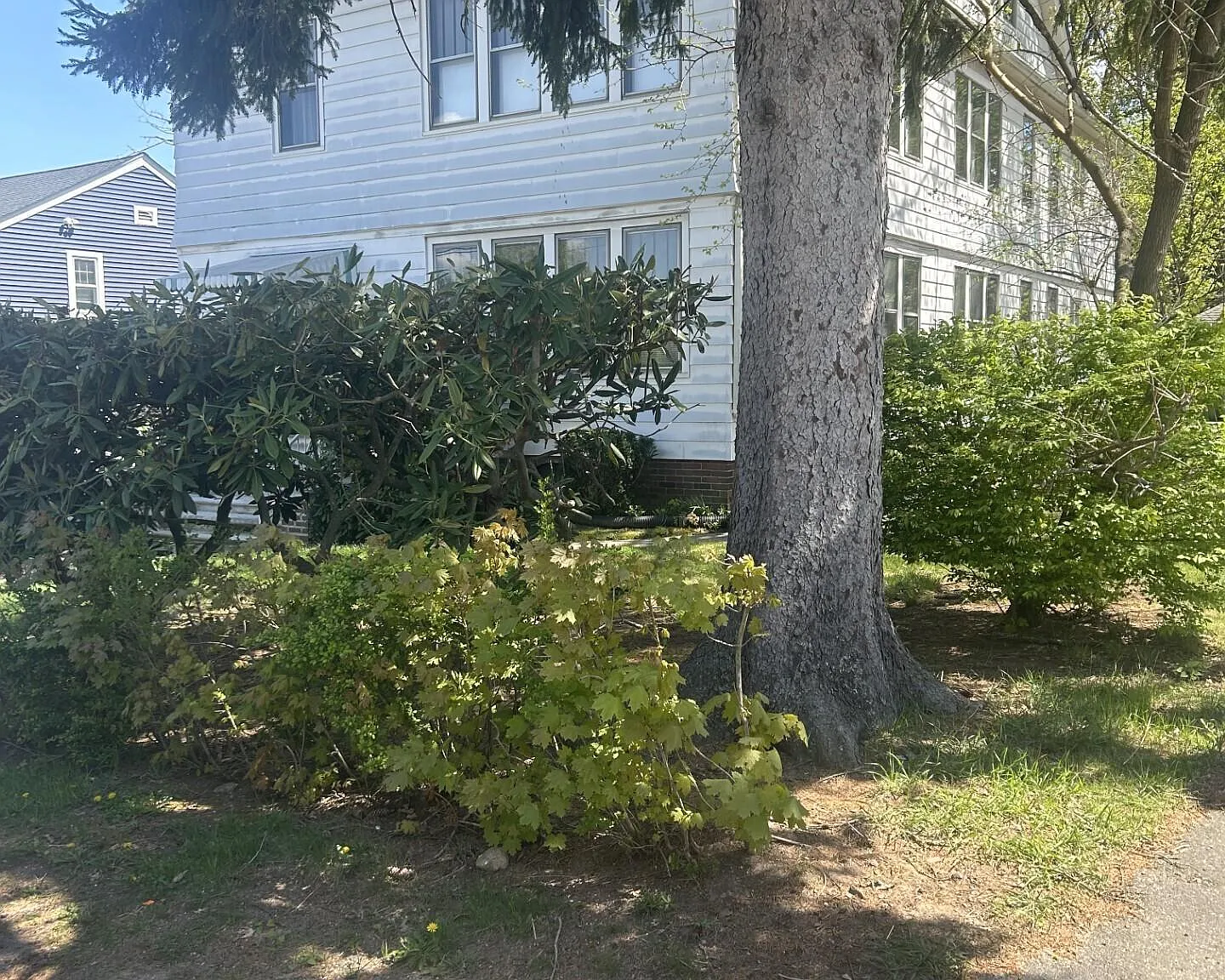3 bed, 1.0 bath, 1750 sqft, $2,000 — Photo 1