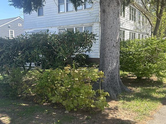 2nd image of 41 Lawlor St