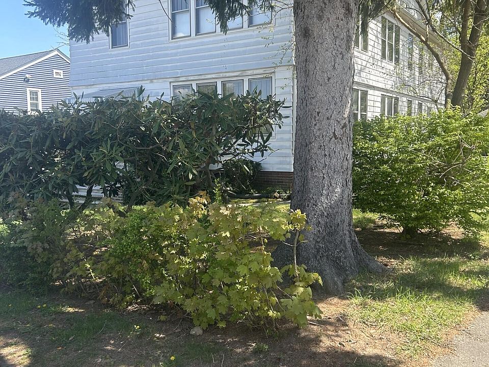 1st image of 41 Lawlor St