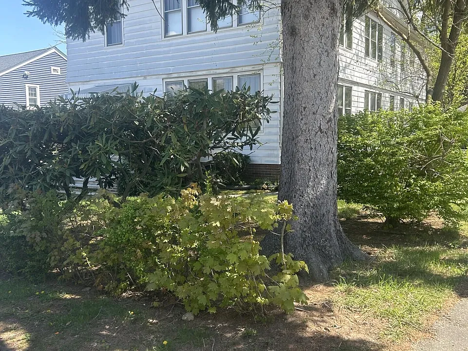 41 Lawlor St
