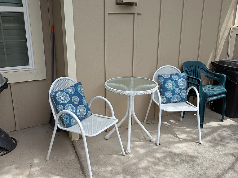 Outdoor furniture and electric grill