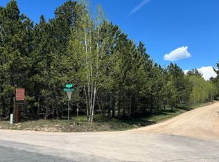 75 Overland Dr, Ward, CO 80481