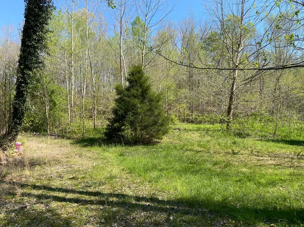 2205 Lower Cove Loop, Dayton, TN 37321