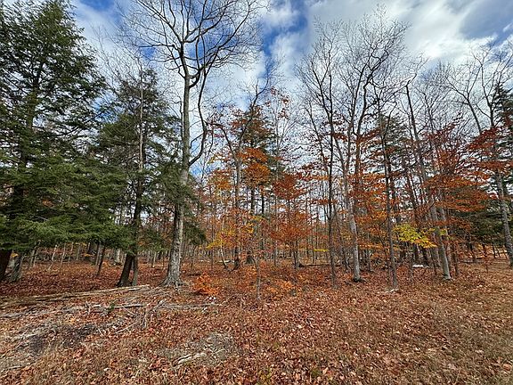 3rd image of Tbd Deer Lane Rd