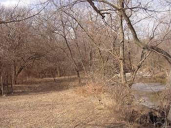 Back yard with Creek