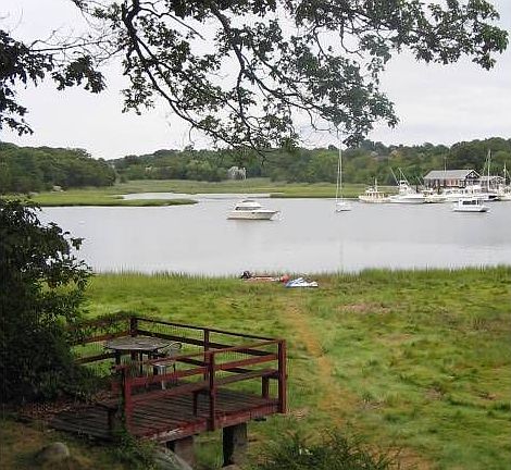 Marsh deck
