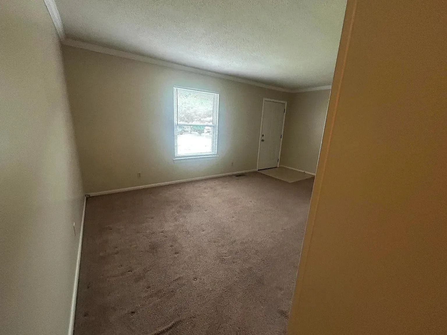 3 bed, 1450 sqft, $1,850 — Photo 3