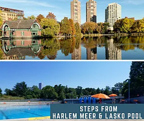 Rented by Area New York