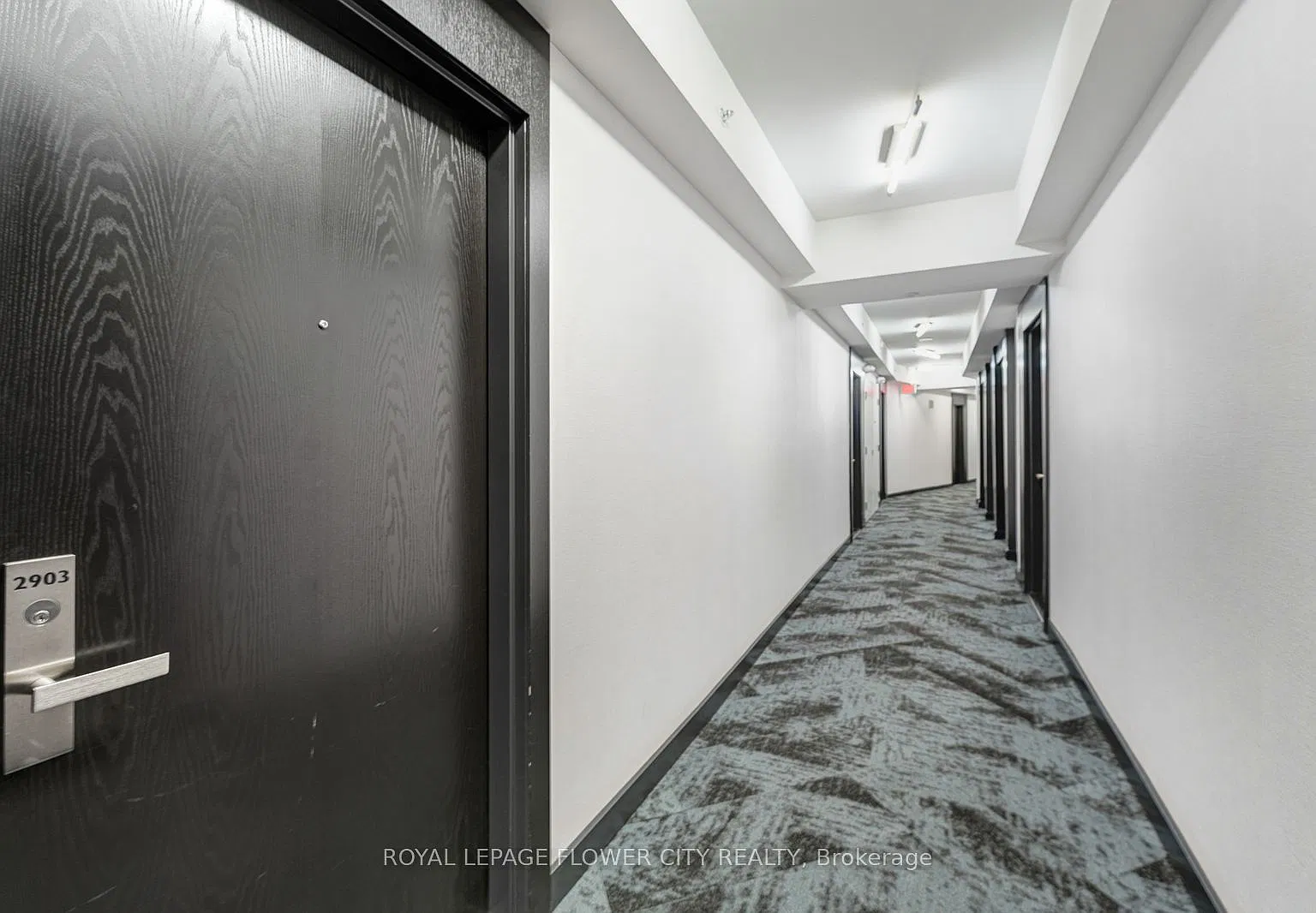 125 Peter St — Photo 4