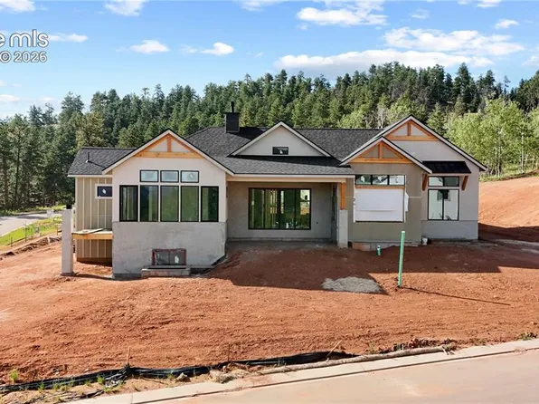 1405 Red Haven Pl, Woodland Park, CO 80863