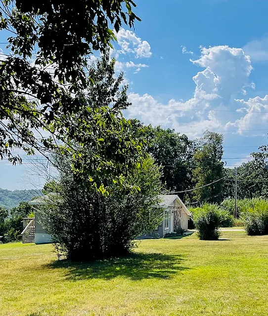 Branson Single Family Home — Photo 2