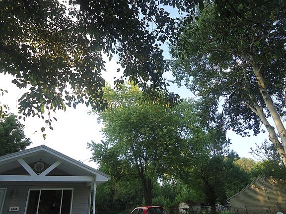 shaded lot