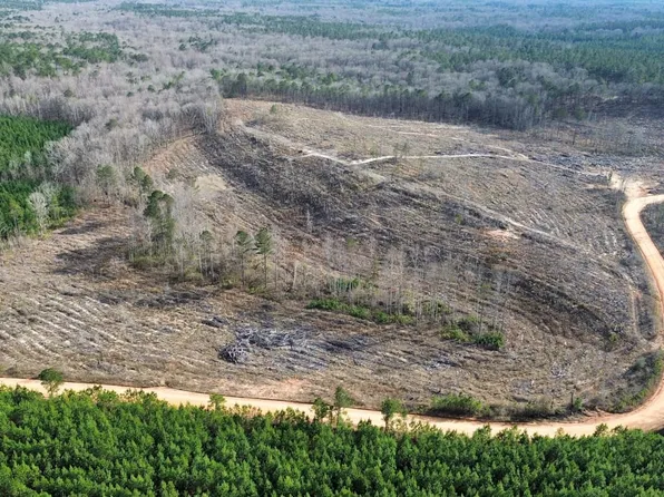 17 Boromville Rd, Hurtsboro, AL 36860