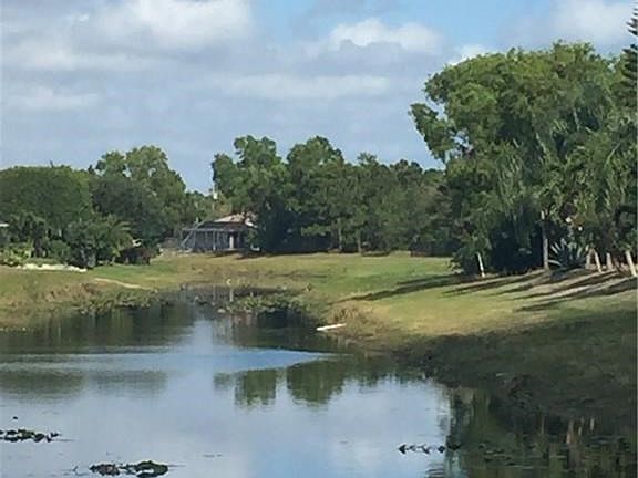 GORGEOUS HERONS, EGRETS & TURTLES AMONG THE LILLY PADS