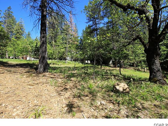 5th image of 3034 Forest Ln