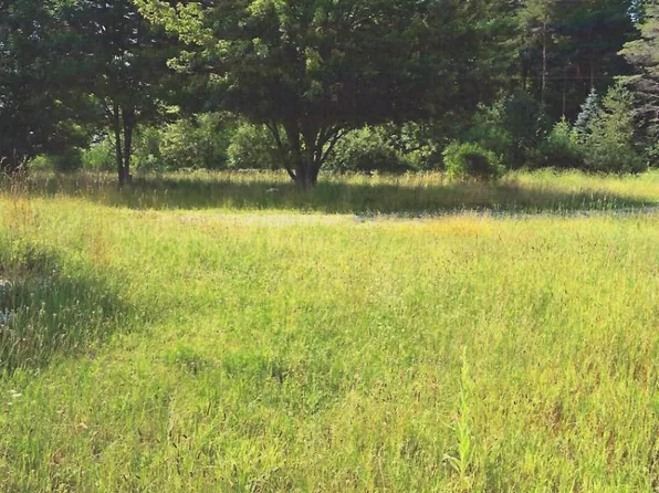 4897 Shabbona Rd, Cass City, MI 48726