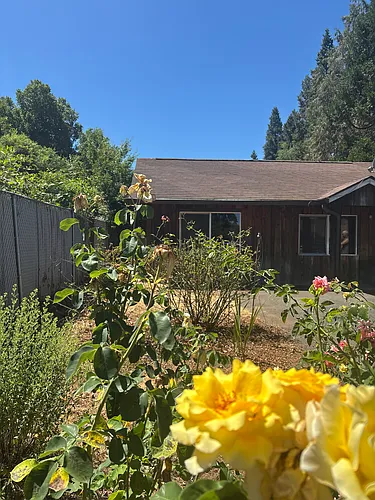 1535 Mount Baldy Rd #7 Photo 1