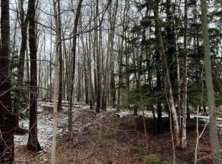 McMaster Rd, Skandia, MI 49885