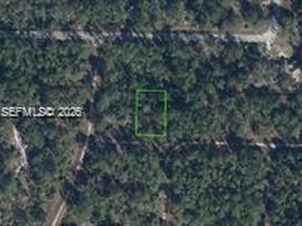 3215 Delafield Ave, Lake Placid, FL 33852