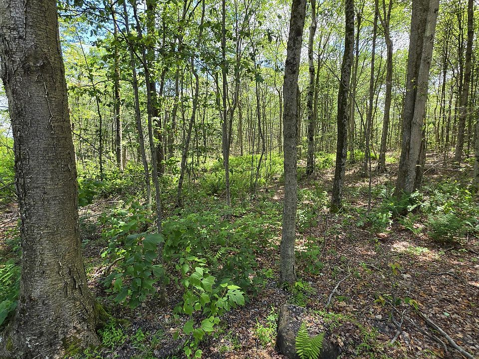 1st image of LOT 1 Pioneer Trl