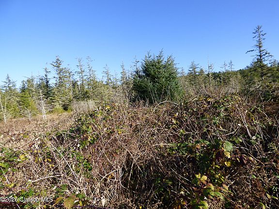 5th image of McCormick Gardens Rd